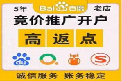 专业SEM托管服务，案例展示精准营销成果